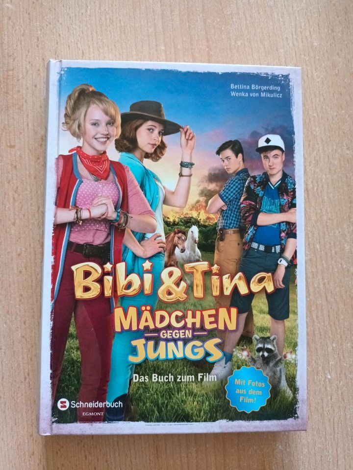 Bibi & Tina Mädchen gegen Jungs in Nienburg (Weser)