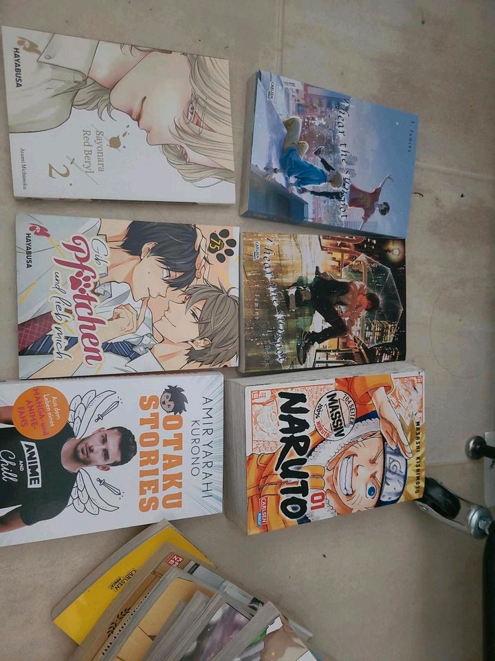 Manga Comics in Mülheim (Ruhr)