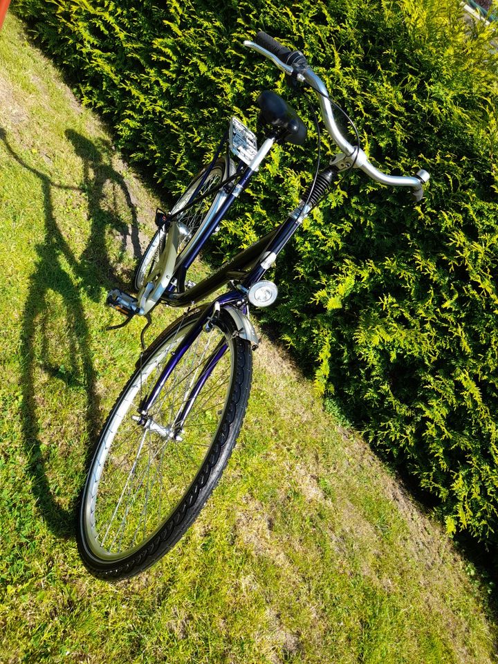 Damen Citybike, 7-Gang Nabenschaltung, Rh: 57cm in Preetz