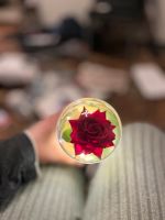 Ewige Rose im Glas mit Gravur Innenstadt - Köln Altstadt Vorschau