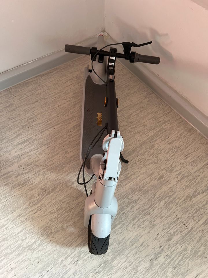 Segway Ninebot KickScooter G30LD mit ABE für Versichrung in Ludwigshafen