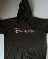 Disneyland-Pullover aus Disneyland Paris Baden-Württemberg - Mannheim Vorschau