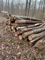 Brennholz,Stammholz Buche Esche Thüringen - Stadtroda Vorschau