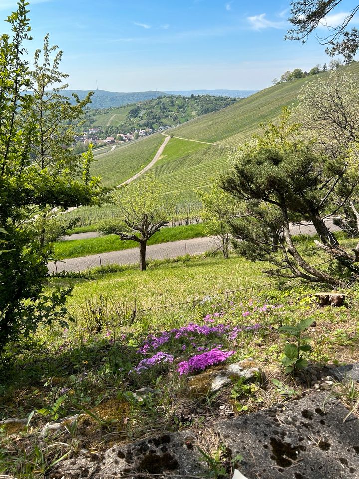 Gartengrundstück mit traumhaften Blick über Stuttgarts Weinberge in Ehningen