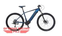 E-Bike 29" EASYBIKE VOLT grau/blau - Elektrofahrrad Sachsen - Wolkenstein Vorschau