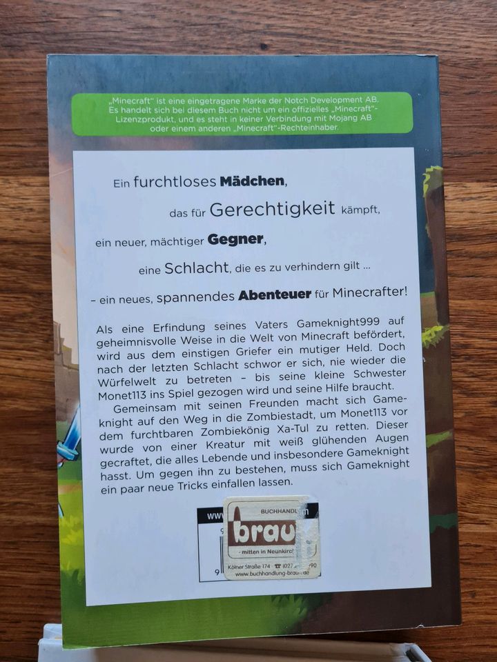 Minecraft Bücher in Neunkirchen Siegerland