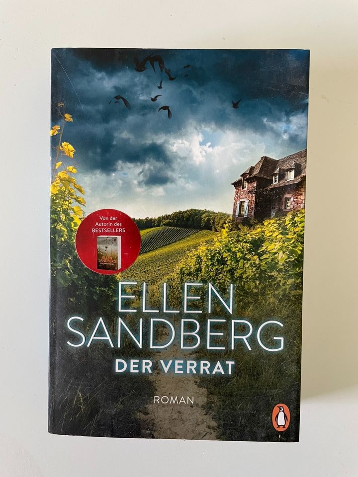 Ellen Sandberg - Der Verrat in Altdorf