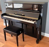 Steinway & Sons Z Klavier schwarz Kreis Pinneberg - Quickborn Vorschau