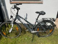 Pegasus Piazza Damenfahrrad 28" Niedersachsen - Hameln Vorschau