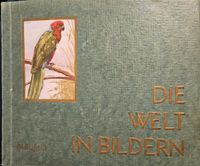 Die Welt in Bildern Album 3 Dresden - Leuben Vorschau