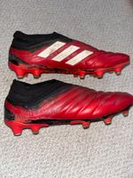 Adidas Copa + Laceless Größe 42 2/3 Baden-Württemberg - Weinheim Vorschau
