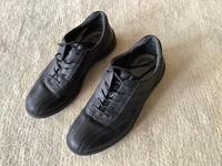 Schuhe Damen ecco, Leder, Gr. 38, schwarz, sehr gut erhalten Kr. Dachau - Petershausen Vorschau