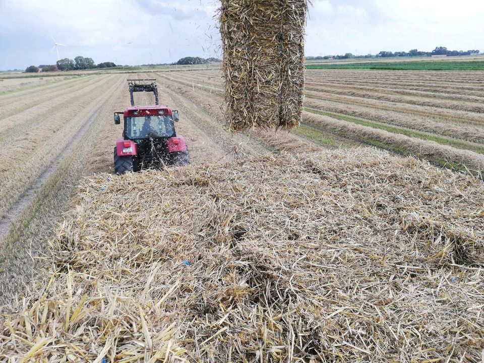 HD Ballen Stroh Ernte 2024 in Norden