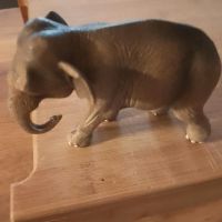 Schleich Elefant  Krummhörn - Upleward Vorschau