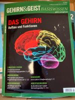 Das Gehirn, Gehirn und Geist, Medizin Bayern - Möttingen Vorschau