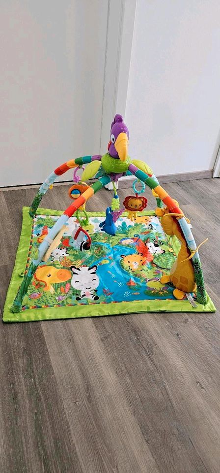 Fisher price Dschungel Spielbogen in Hessisch Lichtenau