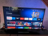 Phillips the one 43" Ambilight TV Niedersachsen - Rinteln Vorschau