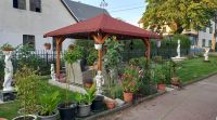 Gartengestaltung, Gartenbau Dresden - Äußere Neustadt Vorschau