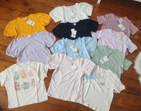 ZARA T- Shirts Gr.134 (9) NEU Niedersachsen - Oldenburg Vorschau