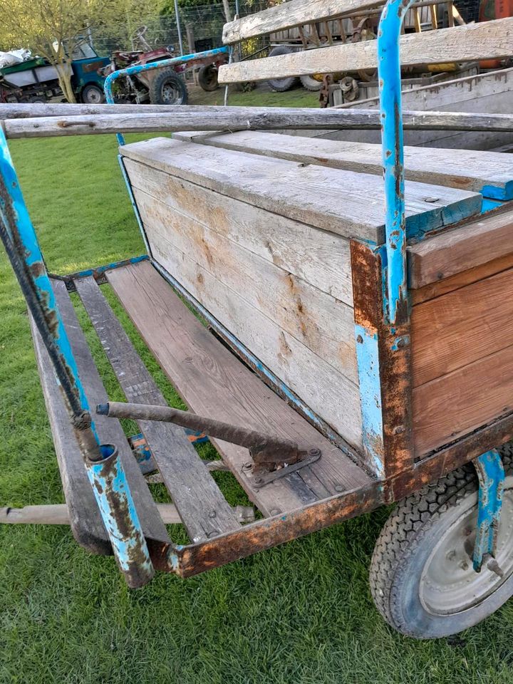 Ponywagen  mit 2 Kutschgeschirren in Droyßig