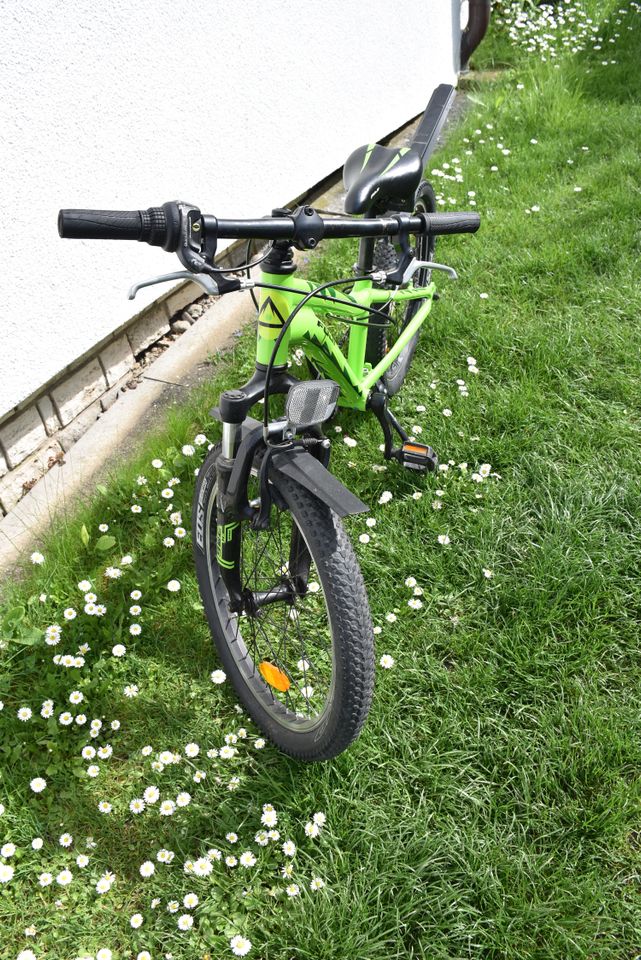 FUJI Bikes Mountainbike Dynamite, 20" in Veitshöchheim