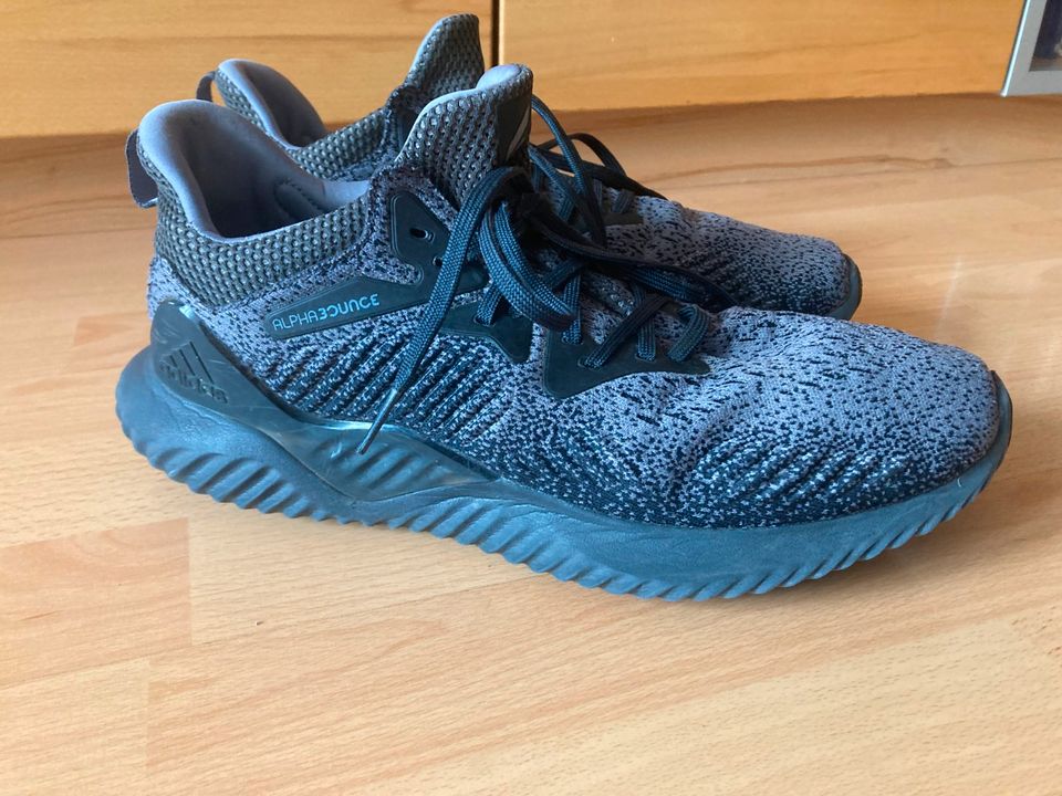 Adidas Laufschuh Alphabounce Sneaker Gr. 45 1/3 in Augsburg