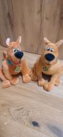 Scooby Doo Kuscheltier Bayern - Trostberg Vorschau
