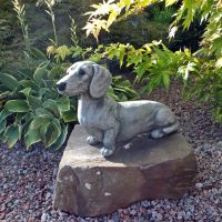 Steinfigur Hund Dackel Rauhaar Tierfigur Gartenfigur Nordrhein-Westfalen - Korschenbroich Vorschau