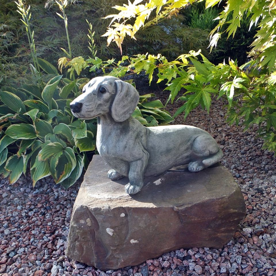 Steinfigur Hund Dackel Rauhaar Tierfigur Gartenfigur in Korschenbroich