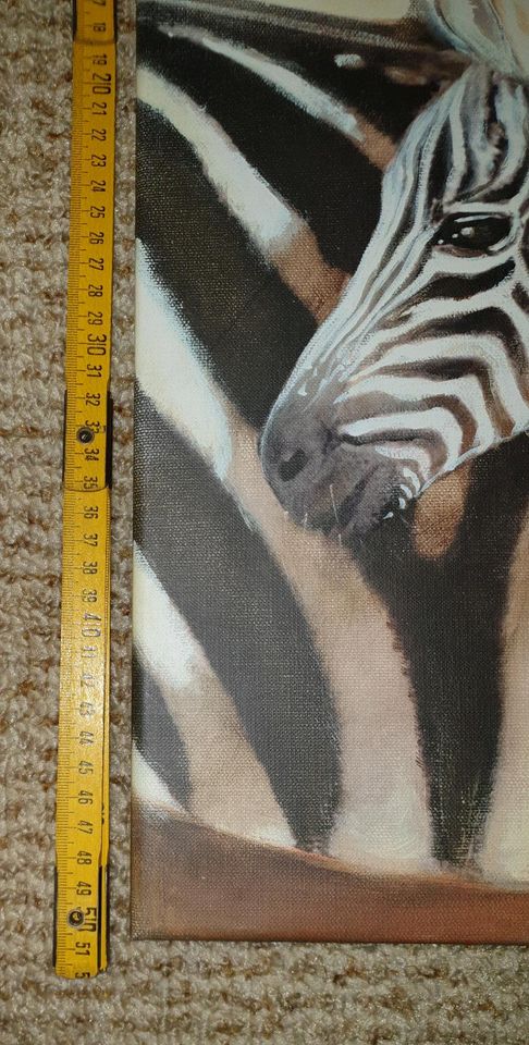 Fotodruck  Zebra mit Fohlen in Hamburg