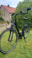 Prophete E-Bike Tiefeinsteiger Sachsen - Oschatz Vorschau