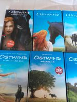 Ostwind  Bücher Paket Dahn - Bundenthal Vorschau