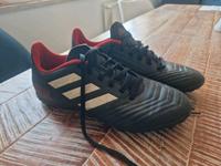 Fussballschuhe Kunstrasen Gr.40 Kaum getragen Sachsen - Zwickau Vorschau