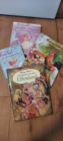 Kinderbücher, Tierbücher, Elfenbuch, Prinzessinenbuch Niedersachsen - Burgwedel Vorschau