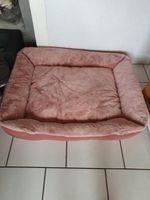 hundebett neu Nordrhein-Westfalen - Kerpen Vorschau