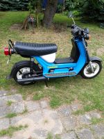 Simson SR 50/1 B Sachsen-Anhalt - Elbe-Parey Vorschau