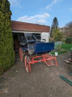 Kutsche Wagonette Großpferd Kleinpferd Kreis Pinneberg - Rellingen Vorschau