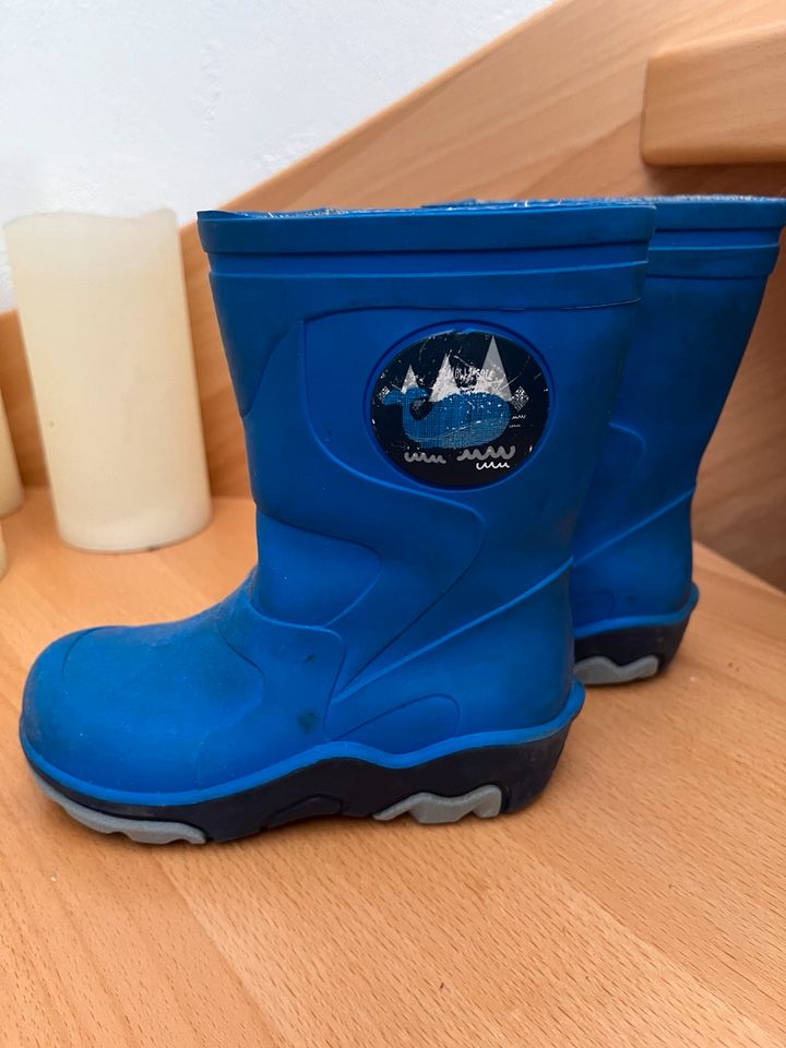 Gummistiefel Größe 21 in Amtsberg