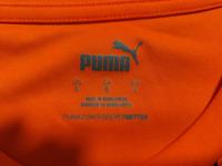 Verkaufe hier 2 Puma T-Shirts Hessen - Darmstadt Vorschau