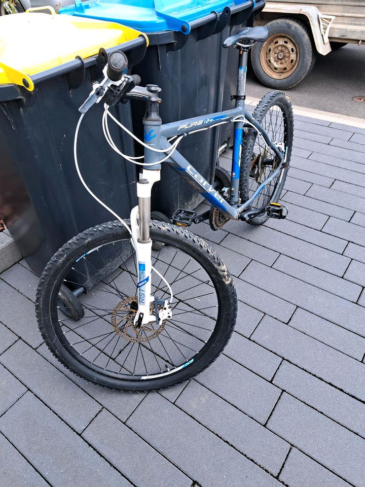 MTB 26 Zoll in Bad Münstereifel