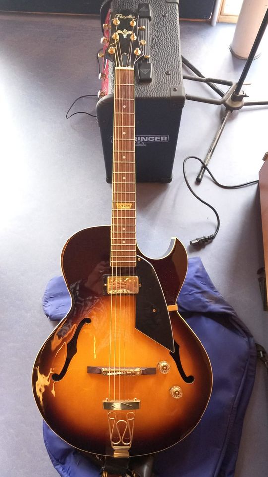 Peerless NM2000 - Hollow Body E-Gitarre in Mainburg