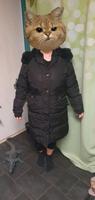 Damen - Wellensteyn Winter Jacke Mantel -  Kitzbühel (M) Frankfurt am Main - Eschersheim Vorschau