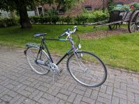 Enik Vintage Herren Fahrrad Nordrhein-Westfalen - Nottuln Vorschau