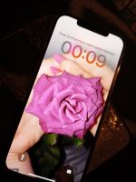 iPhone 12 Pro Max Gold Niedersachsen - Niederlangen Vorschau