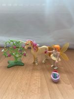 Playmobil Fairies Schmuck-Fee mit Einhorn Sonnenstrahl Sachsen - Chemnitz Vorschau