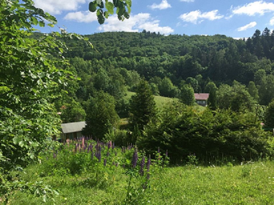 Ferienhaus, Bungalow für 1 Person in 98544 Zella-Mehlis in Benshausen