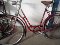 Diamant, Damen, Fahrrad, Scheunenfund, Oldtimer, DDR Sachsen - Meerane Vorschau