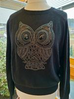 H&M Pullover mit Eule Steine und Tuch Schal Hessen - Erbach Vorschau