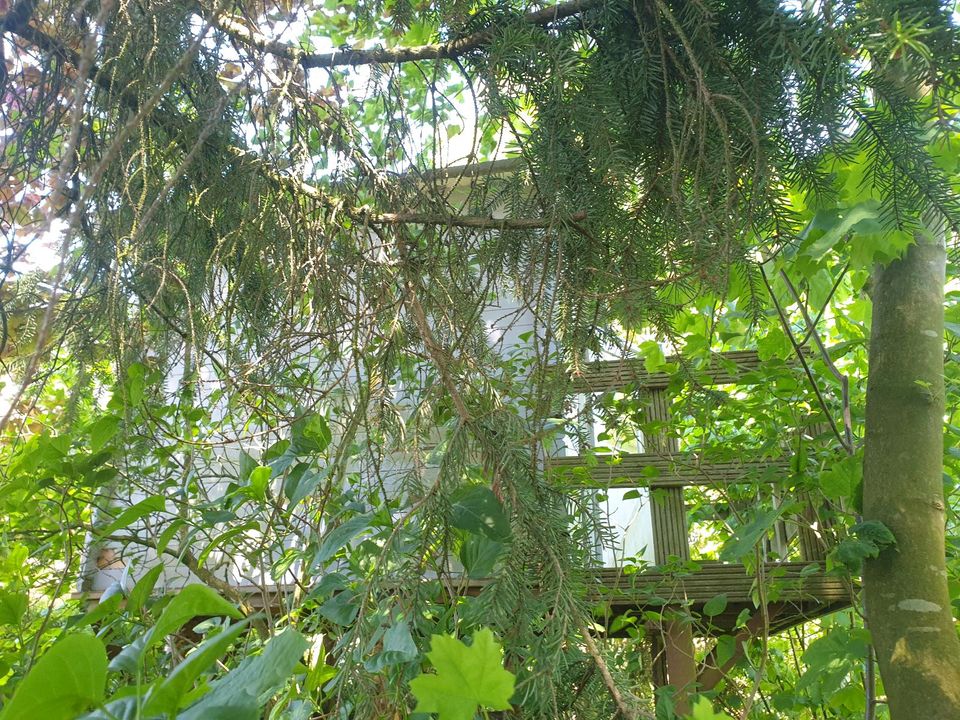 Baumhaus Hühnerstall Gartenhaus Schuppen Hochbett massiv Holz in Bad Segeberg