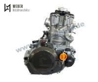 KTM 690 SMC Duke R Motor Motorrevision Instandsetzung Revision Baden-Württemberg - Eberdingen Vorschau